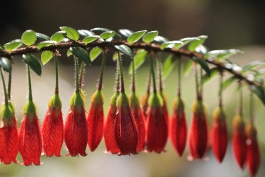 肇庆高要区8私人快速借钱网，轻松解决资金难题