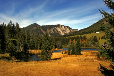 肇庆高要区8民间私贷攻略：揭秘低成本借贷的秘密