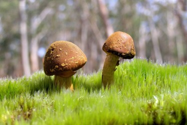 肇庆高要区8私人老板放款：轻松融资的秘密通道